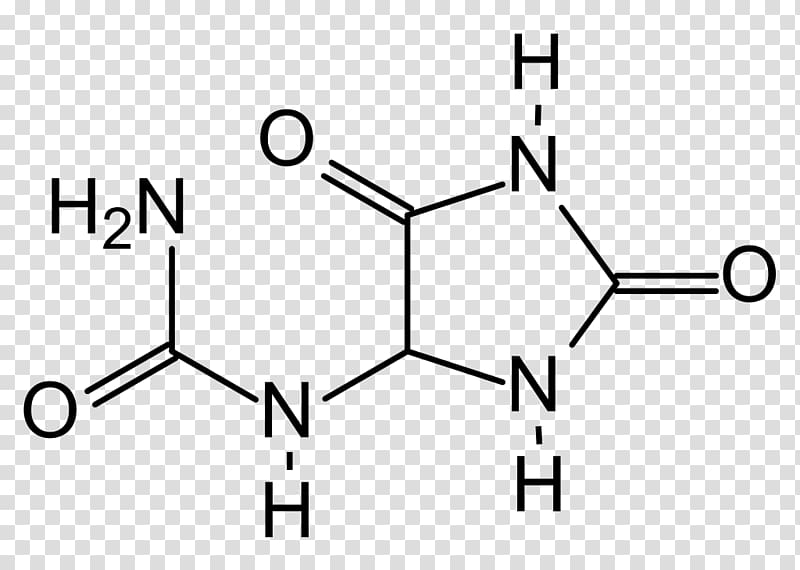 Molecule Caffeine Theophylline Chemical compound Uric acid, Allantoin transparent background PNG clipart