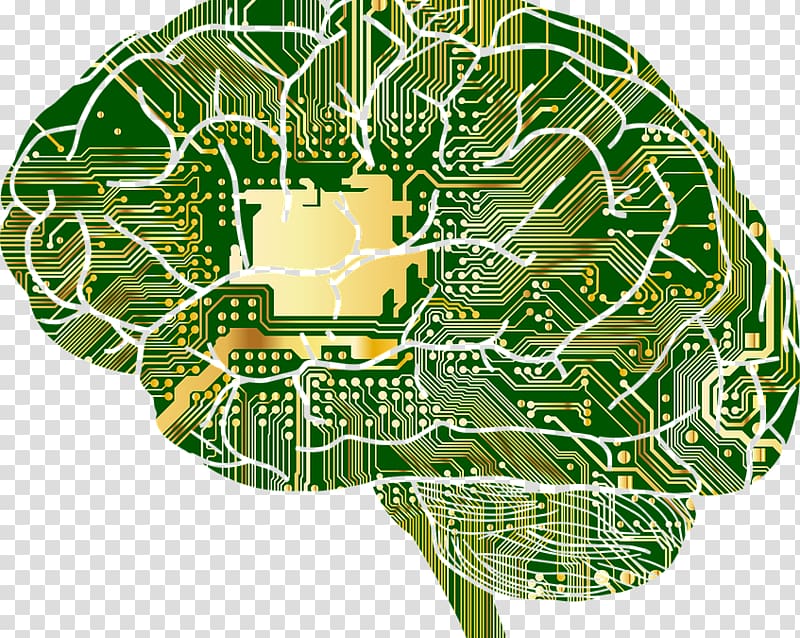 Artificial neural network Computer network Anatomy Brain, neural network brain transparent background PNG clipart