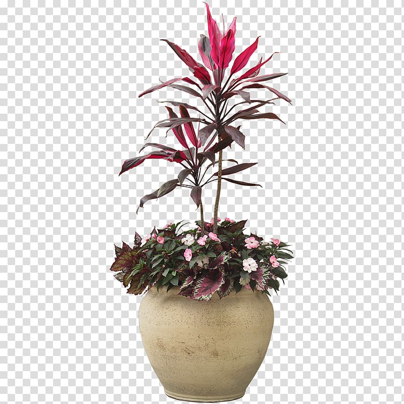 red leafed potted plant, Houseplant Flowerpot, Indoor plant potted plants transparent background PNG clipart