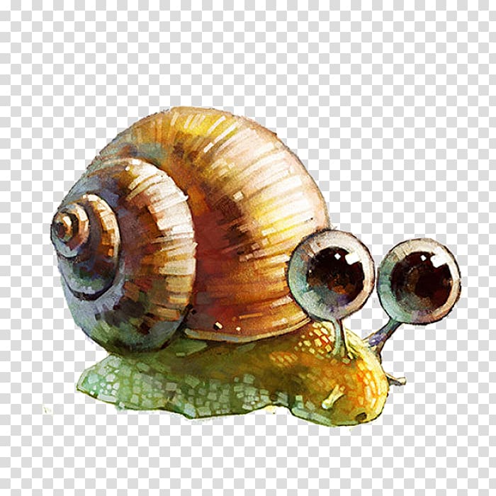 Drawing Watercolor painting Model sheet Art Illustration, Hand-painted snail transparent background PNG clipart