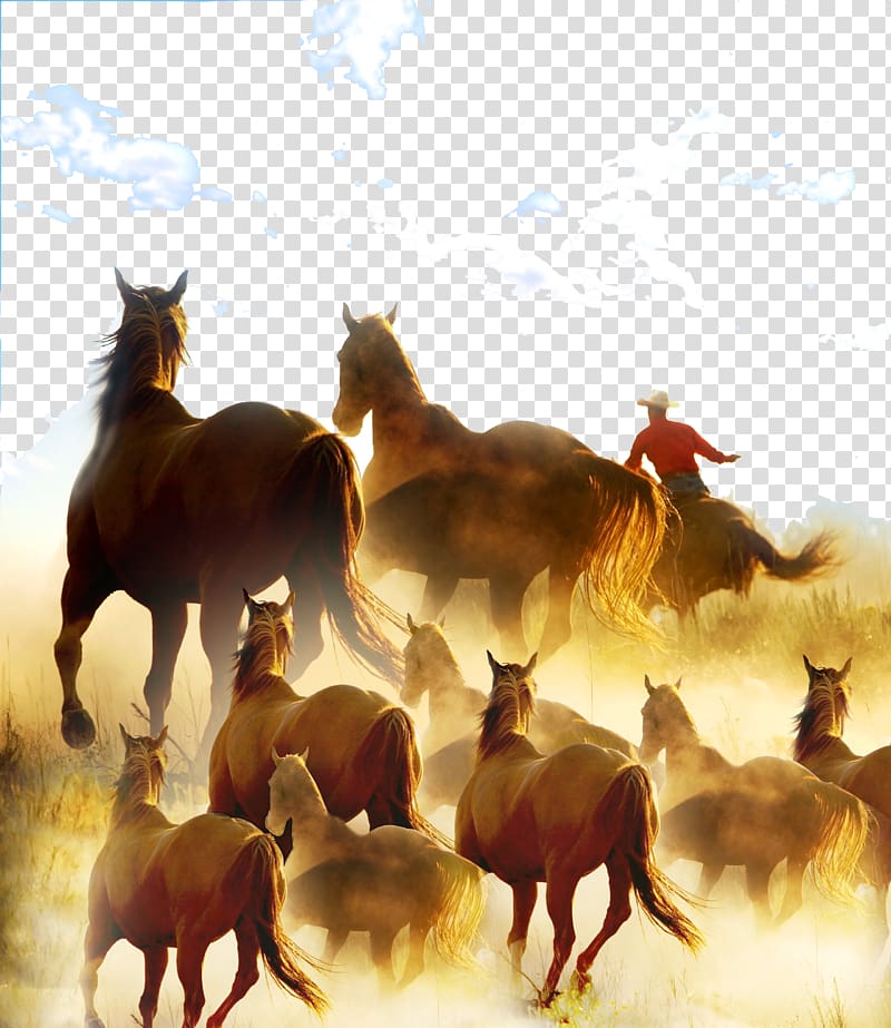 cowboy riding on horse, horse Cowboy Ranch Rodeo, Wanma Pentium transparent background PNG clipart