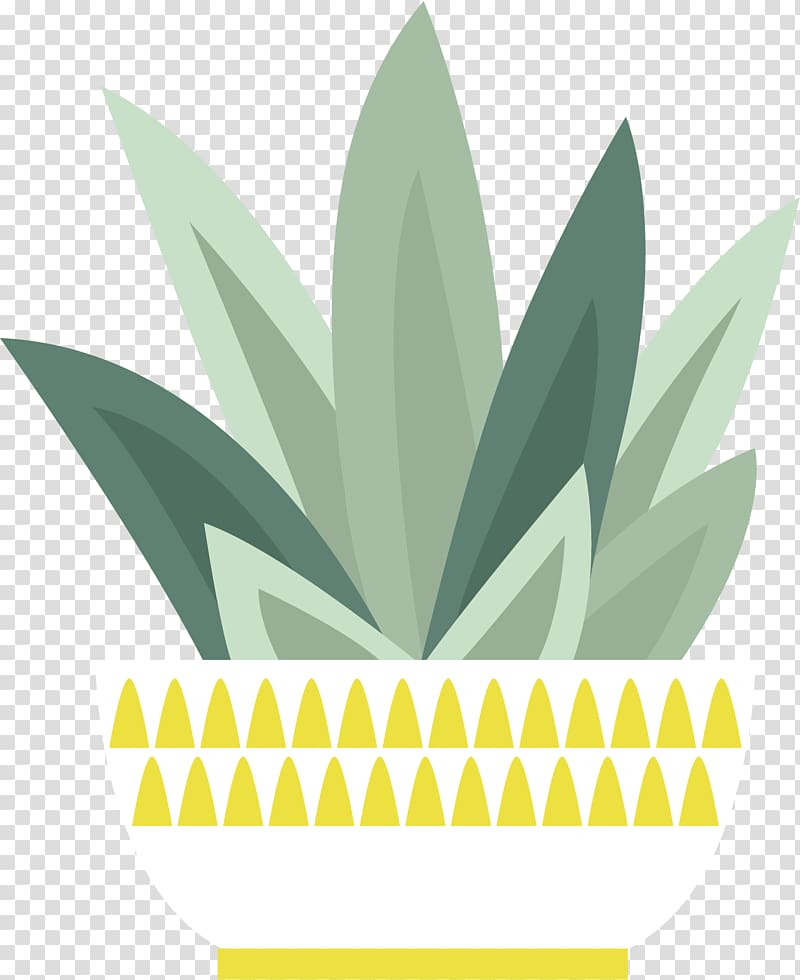 Euclidean Cactaceae Drawing, Cactus transparent background PNG clipart