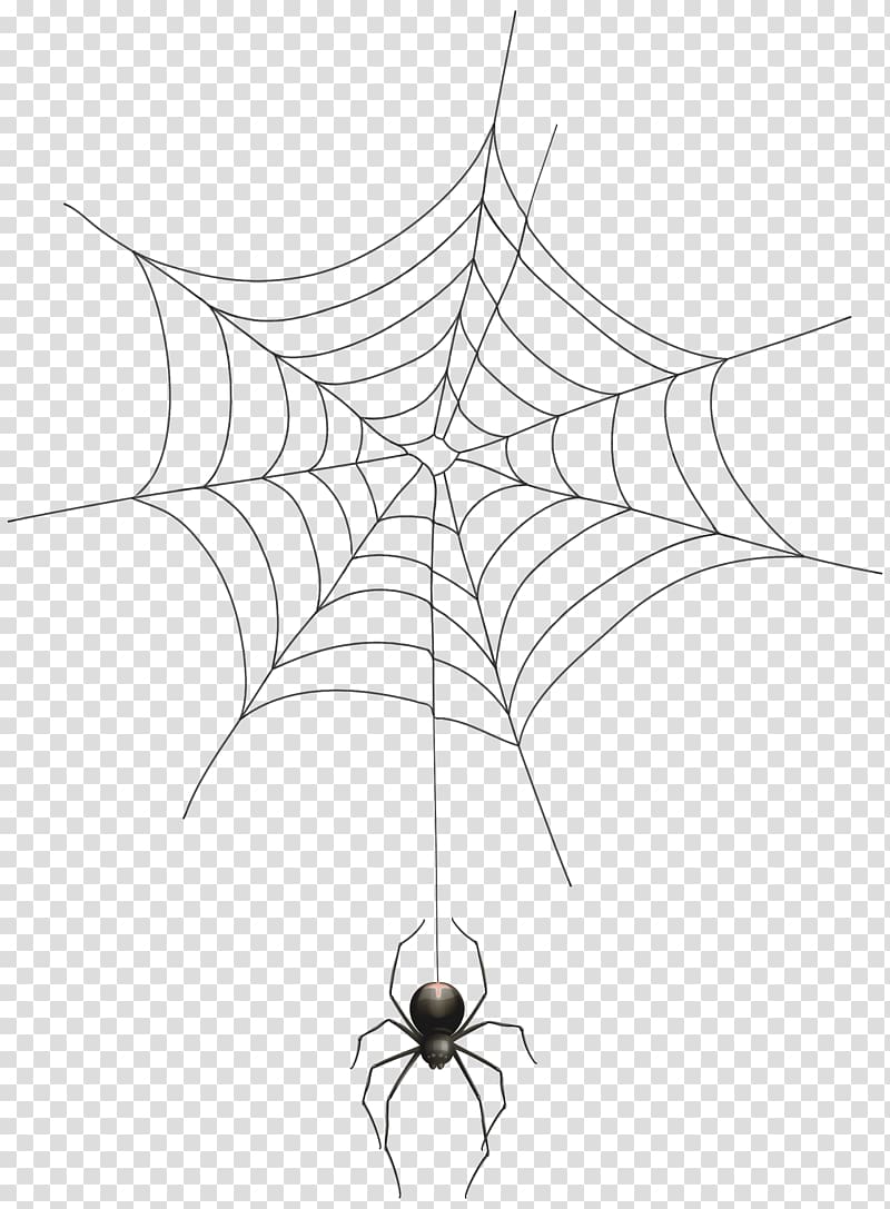 Spider web , Spider transparent background PNG clipart