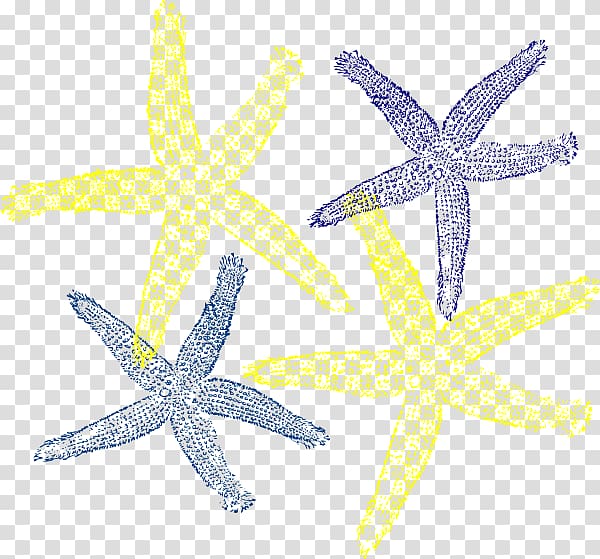 Portable Network Graphics Computer Icons Starfish, hawaii posters transparent background PNG clipart