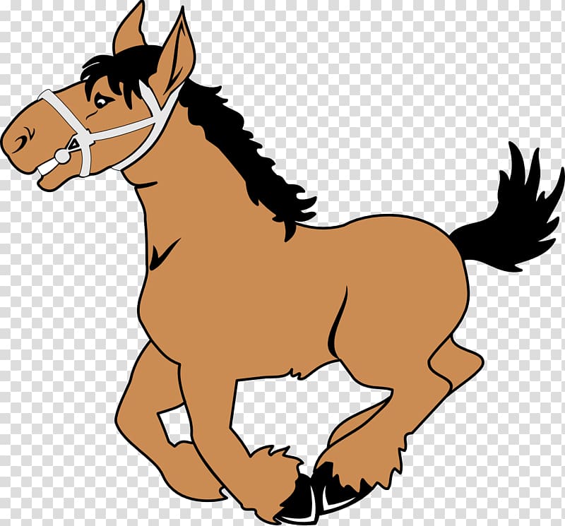 Mustang American Paint Horse , Trail Ride transparent background PNG clipart