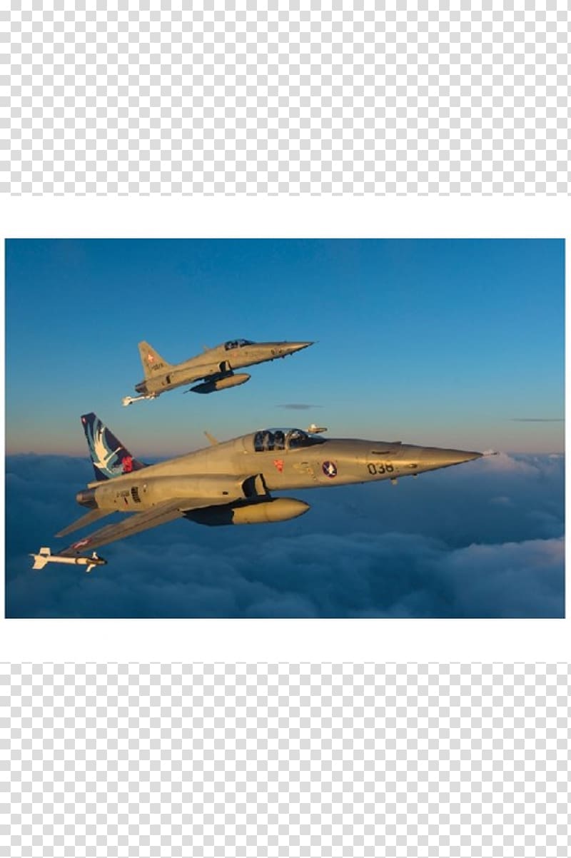 Northrop F-5 Fighter aircraft Airplane 1:72 scale, airplane transparent background PNG clipart