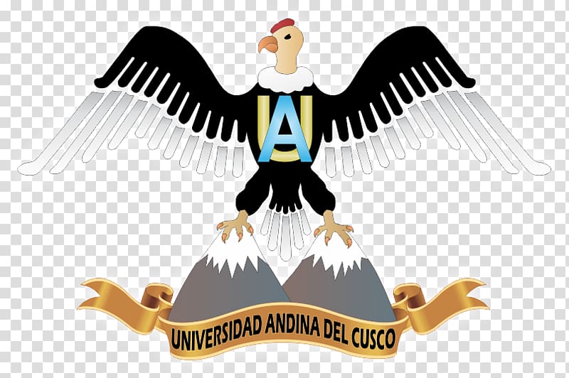 Faculty of Engineering of the Andean University of Cusco National University of Saint Anthony the Abbot in Cuzco Provincial Municipality of Cusco Colegio Arquidiocesano San Antonio Abad, Cusco transparent background PNG clipart