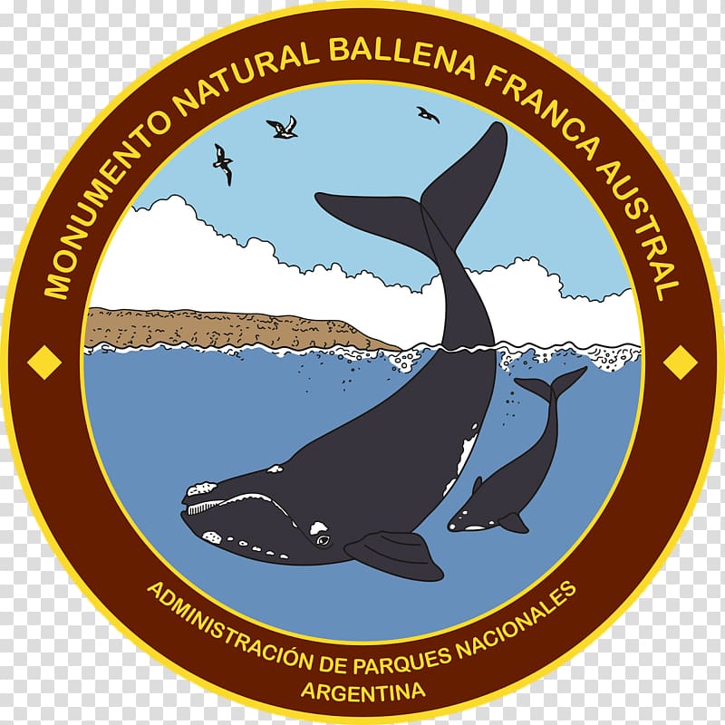 Campo de los Alisos National Park Marine mammal Southern right whale Baritú National Park Laguna de los Pozuelos, parque transparent background PNG clipart