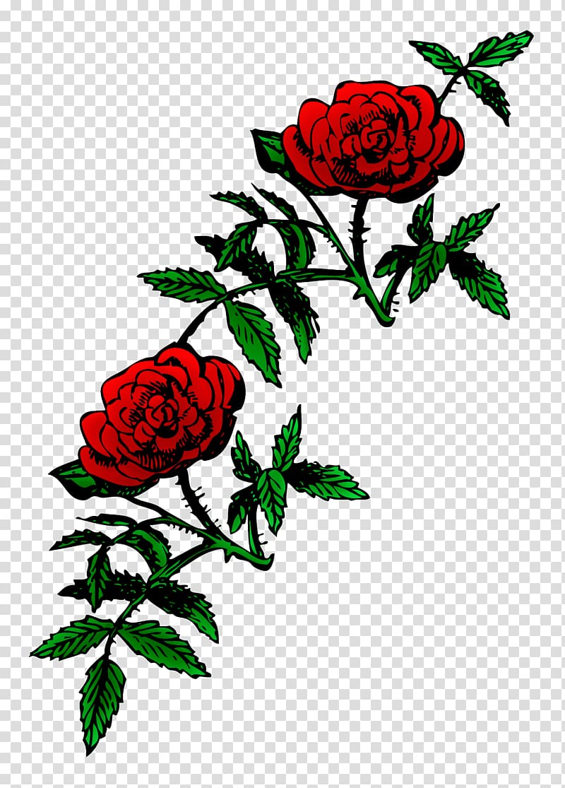 Rose Public domain , rose transparent background PNG clipart