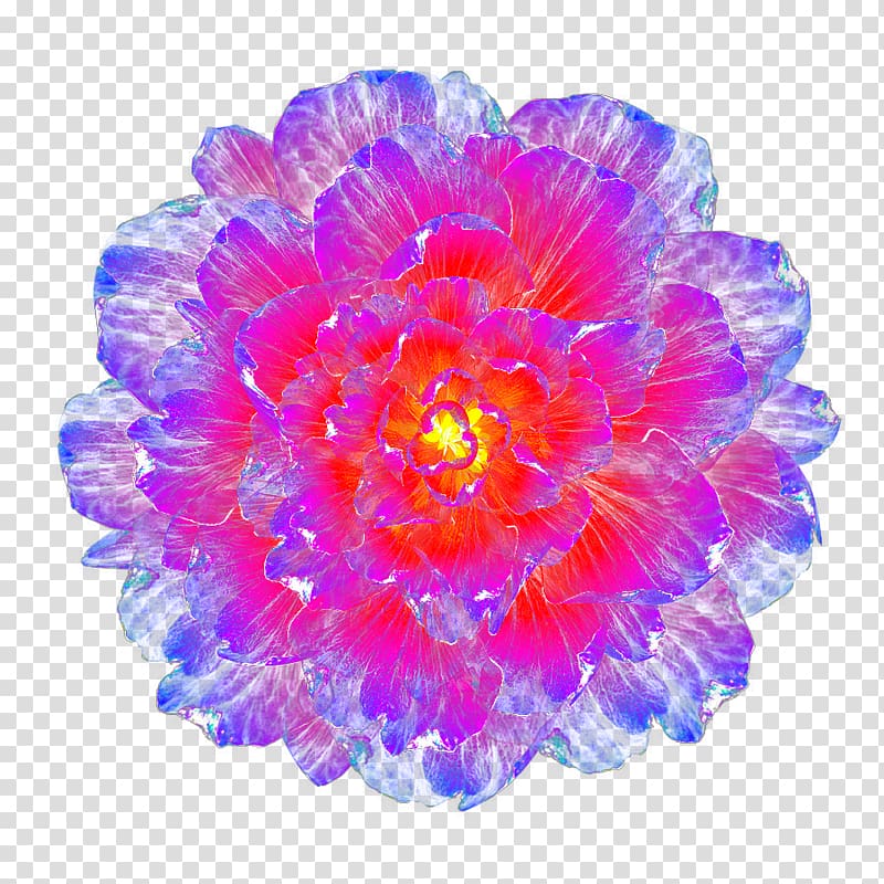 hand-painted light effect flower effects transparent background PNG clipart