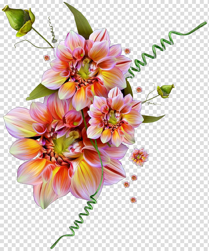 orange-and-yellow petaled flowers illustration, Flower Desktop Letter Floral design, flor transparent background PNG clipart