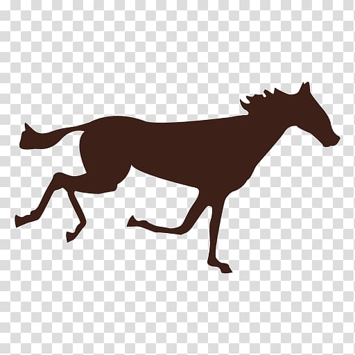Canter and gallop Mustang Pack animal, sequence transparent background PNG clipart