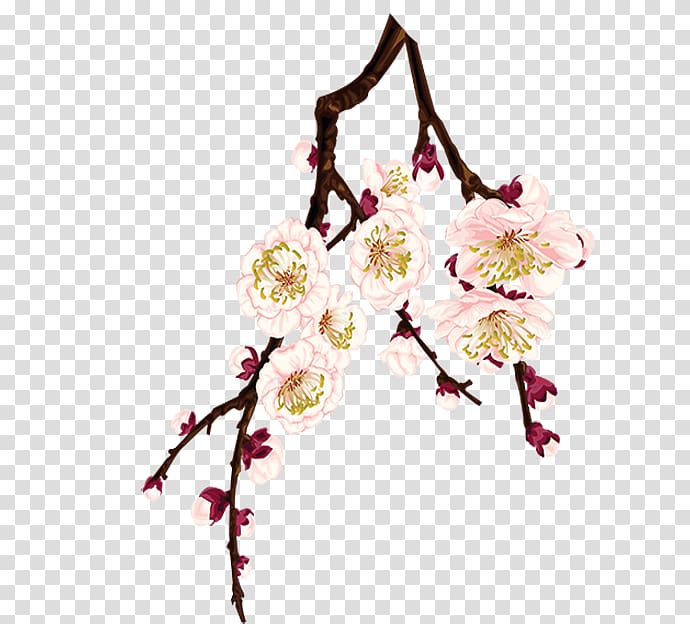Plum blossom Flower, Plum flower transparent background PNG clipart