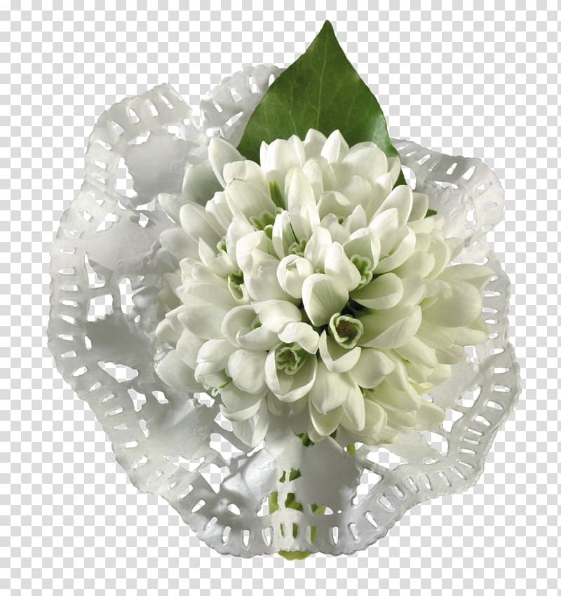 Snowdrop Portable Network Graphics Flower, flower transparent background PNG clipart