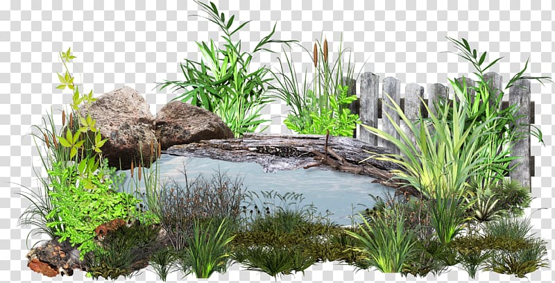 Lawn Garden Landscape Design Lake Transparent Background Png Clipart Hiclipart