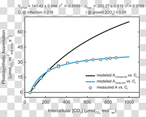 Document Line Eyebrow Angle Organism, line transparent background PNG clipart thumbnail