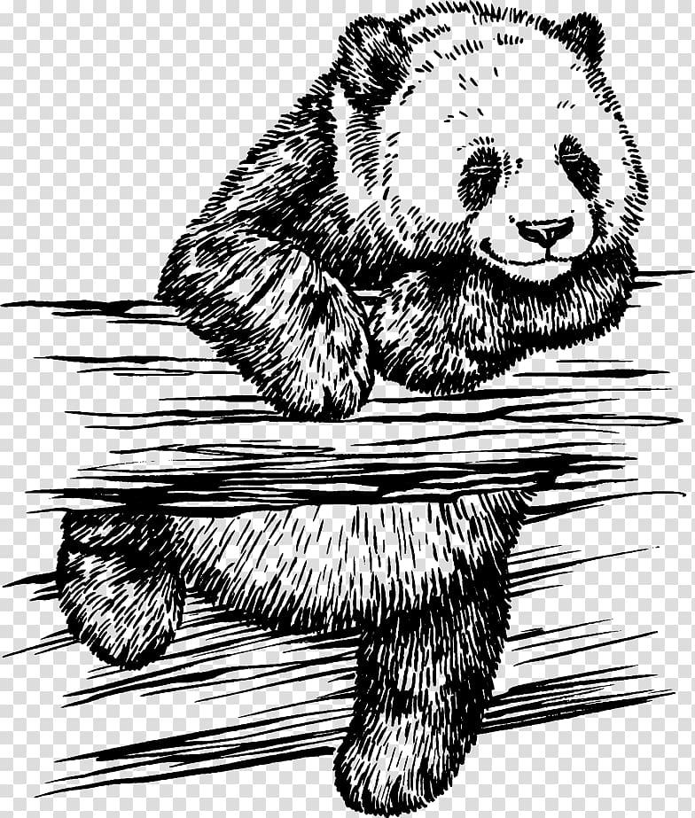 Giant panda Drawing Illustration, Hand-painted Panda transparent background PNG clipart