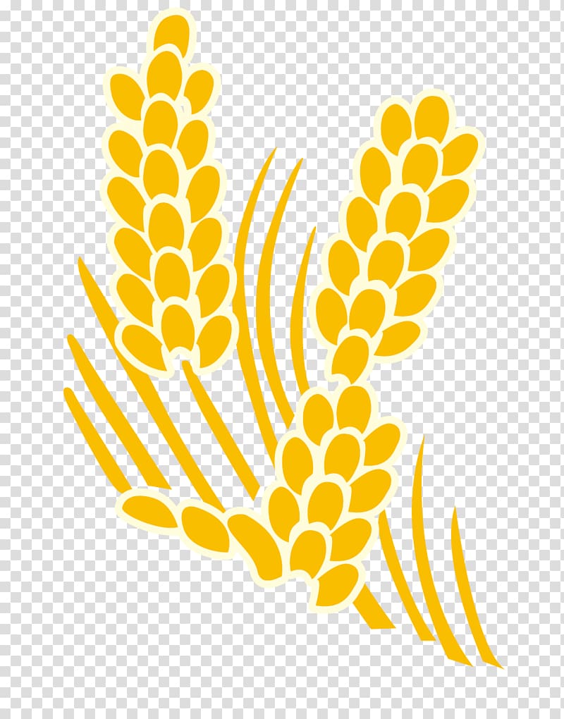 Yellow Rice , yellow rice and wheat transparent background PNG clipart