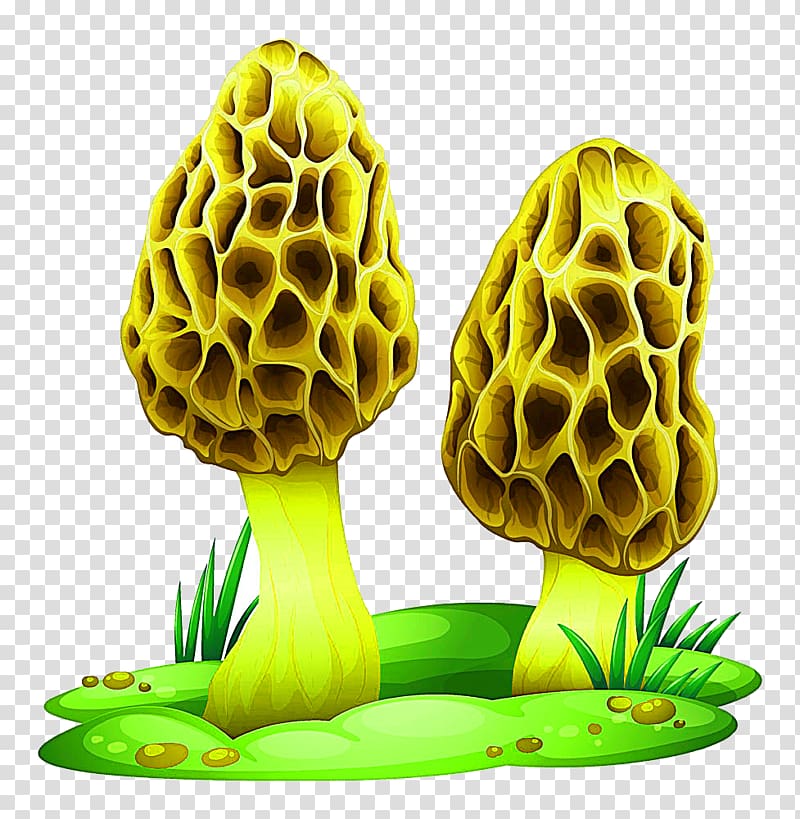 Mushroom Transparency and translucency Fungus Illustration, Cartoon mushroom on the grass transparent background PNG clipart