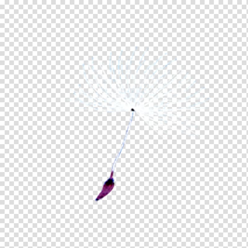 Dandelion Google s, Dandelion transparent background PNG clipart