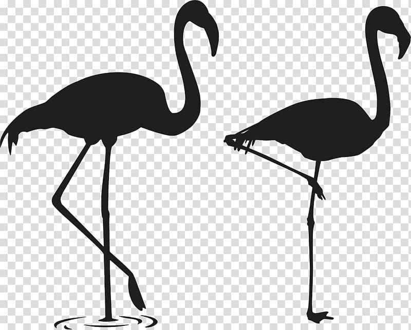 Sticker T-shirt Wall decal Stencil, ink flamingos transparent background PNG clipart