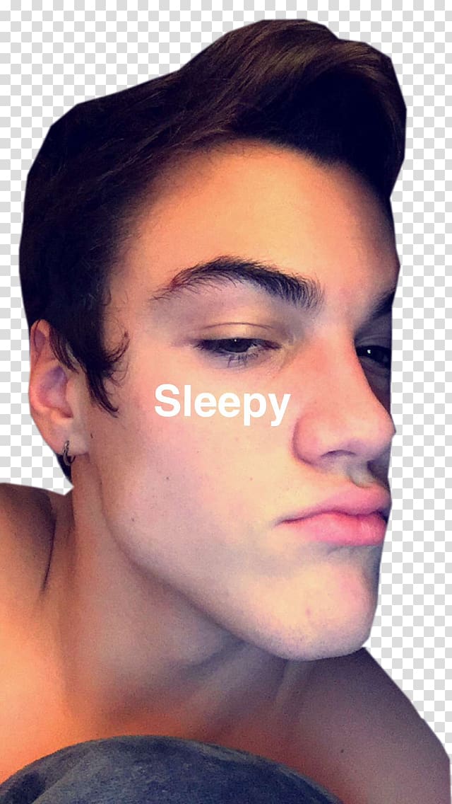 Eyebrow Dolan Twins Snapchat Lip, Grayson dolan transparent background PNG clipart
