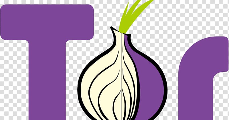 Tor Computer network Anonymity Onion routing IP address, polyline transparent background PNG clipart
