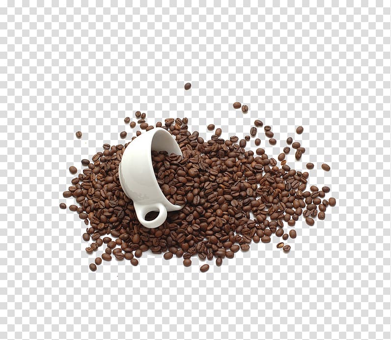 Coffee bean Tea Chocolate milk Coffee cup, Coffee beans transparent background PNG clipart