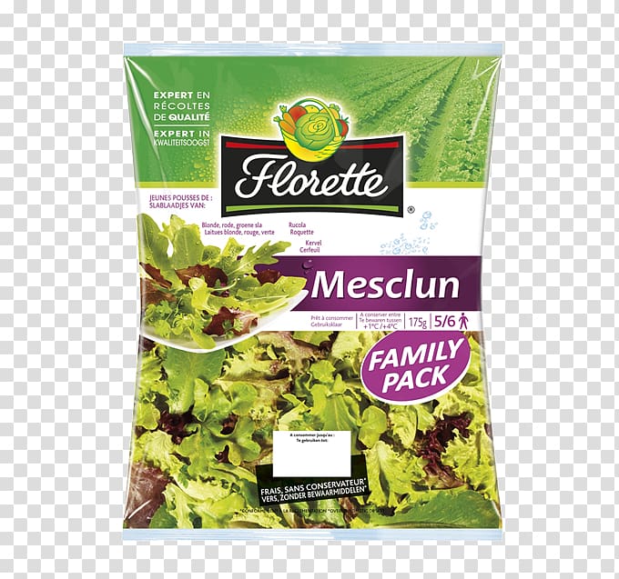 Lettuce Spring greens Vegetarian cuisine Food Herbalism, Laitue transparent background PNG clipart