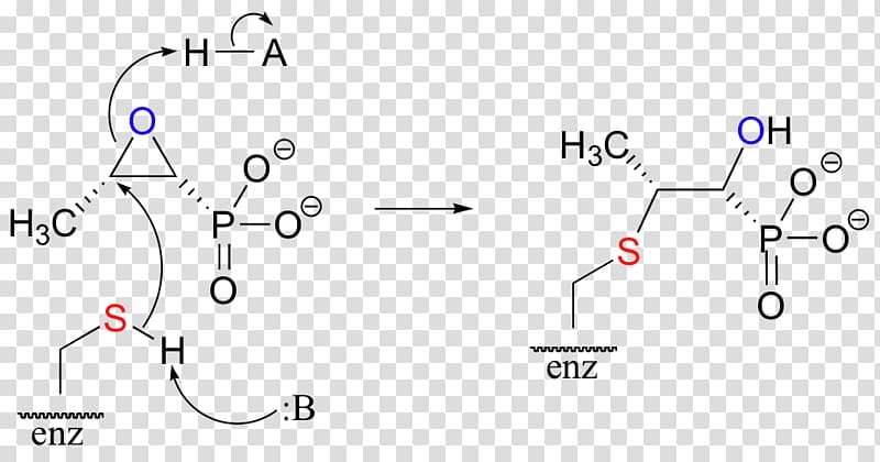 Fosfomycin Chemical reaction Electrophile Epoxide Cysteine, others transparent background PNG clipart