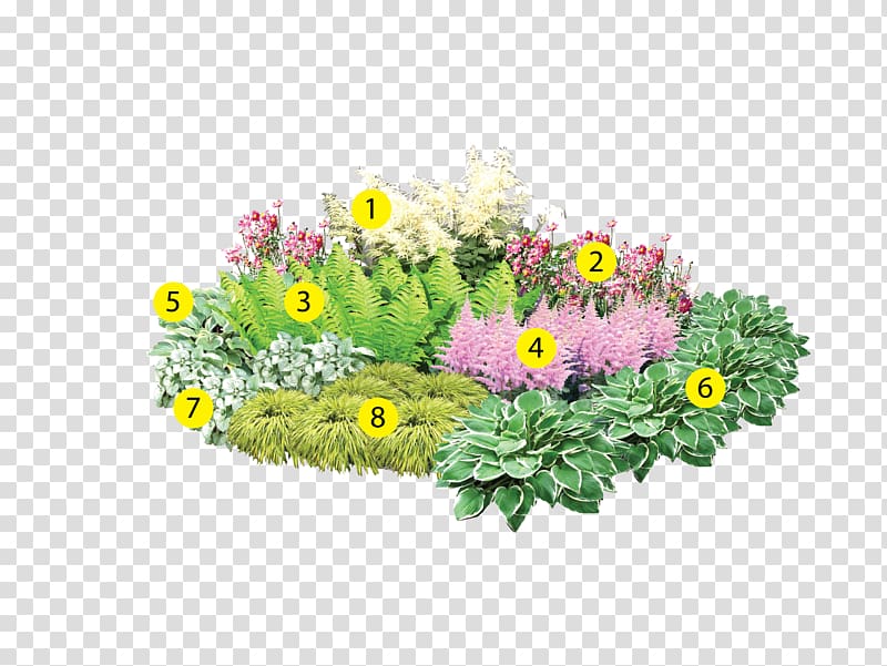 Bedding Flowerpot Garden Lawn Floral design, aureola transparent background PNG clipart