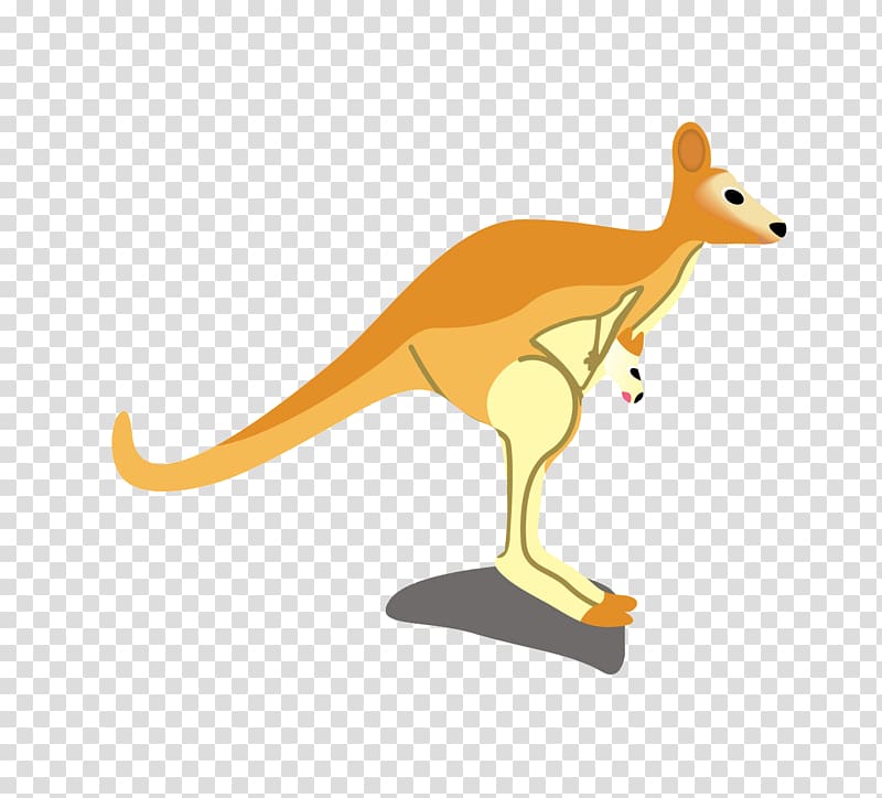 Kangaroo Macropodidae Cartoon Illustration, Cartoon Kangaroo transparent background PNG clipart
