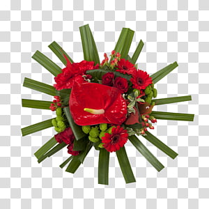 Garden roses, others transparent background PNG clipart thumbnail