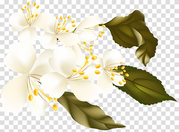 Flower Desktop Auglis , flower transparent background PNG clipart