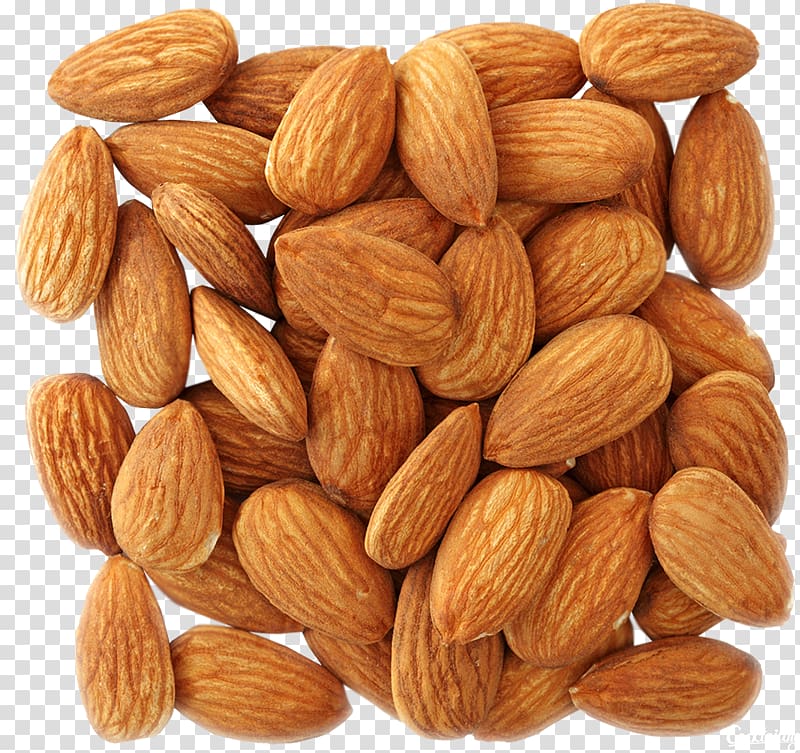 Almond transparent background PNG clipart