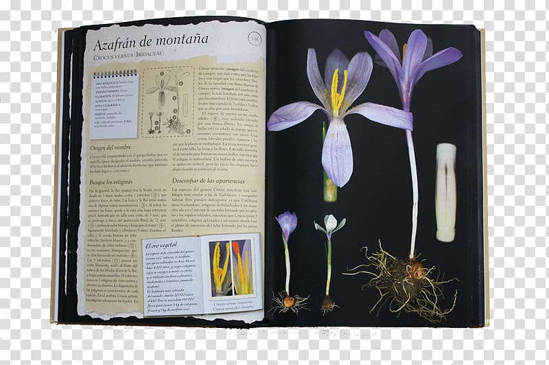 Herbario de plantas silvestres Herbarium Éditions Larousse Author, others transparent background PNG clipart