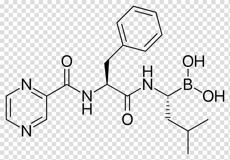 Small molecule Bortezomib Chemical compound Molecular mass, others transparent background PNG clipart