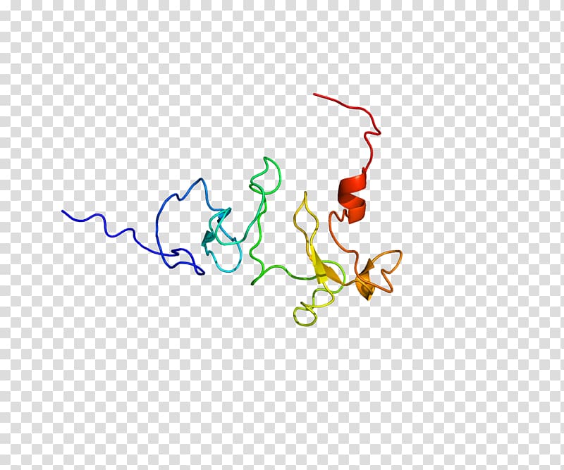 KMT2C Enzyme Protein Methyltransferase Logo, others transparent background PNG clipart