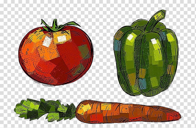 Bell pepper Gourd Vegetable Drawing, Tomatoes, green peppers carrots buckle-free material transparent background PNG clipart