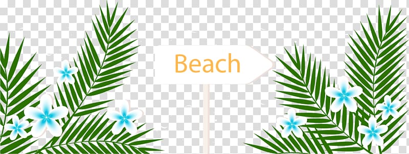 Playa de la Arena Arecaceae Summer vacation Beach, Cartoon green leaves transparent background PNG clipart