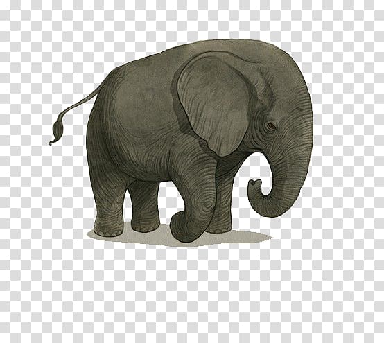 Indian elephant African elephant Hathi Jr. Illustration, Hand-painted baby elephant transparent background PNG clipart