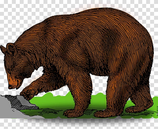 Brown bear American black bear Polar bear , Grizzly transparent background PNG clipart