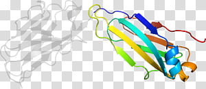 Line , design transparent background PNG clipart thumbnail