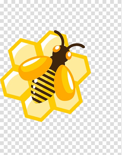 honeybee and honeycomb graphic, Honey bee Honey bee Honeycomb, Cartoon Honey transparent background PNG clipart