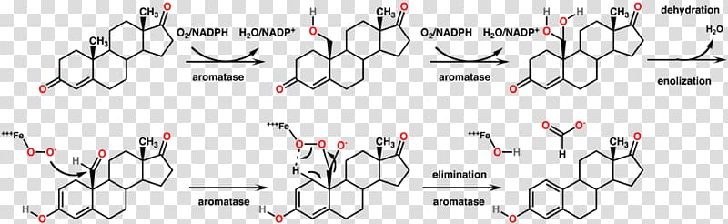 Aromatase Trenbolone Molecule Steroid Oxandrolone, others transparent background PNG clipart