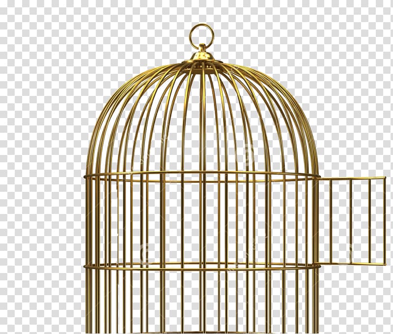 Birdcage , Bird transparent background PNG clipart