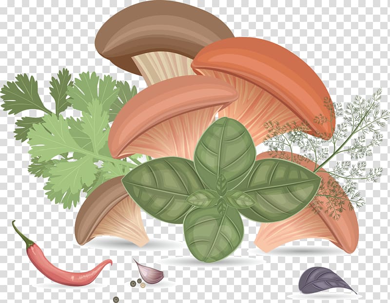 Mushroom Herb , Wild mushrooms transparent background PNG clipart