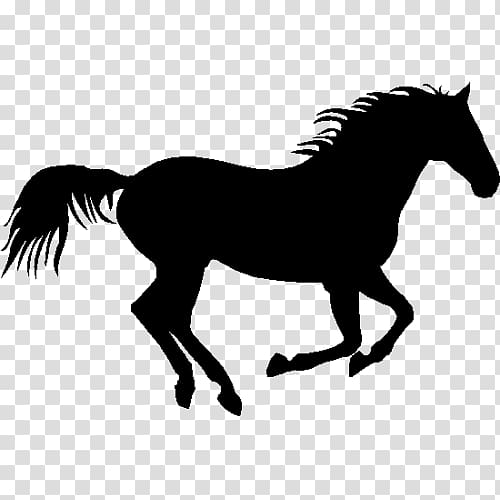 American Quarter Horse Pony Foal Wall decal, plaque transparent background PNG clipart