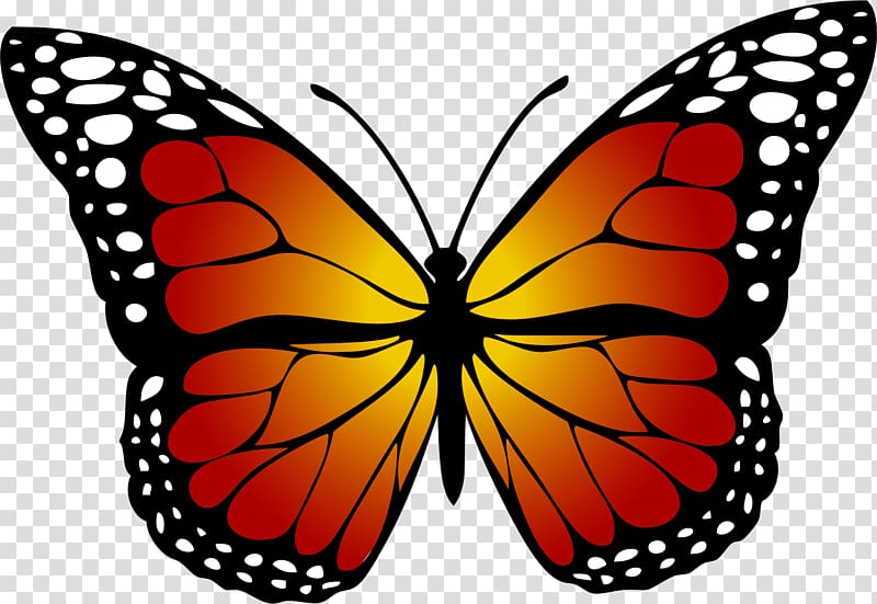 Monarch butterfly Yellow , red butterfly transparent background PNG clipart