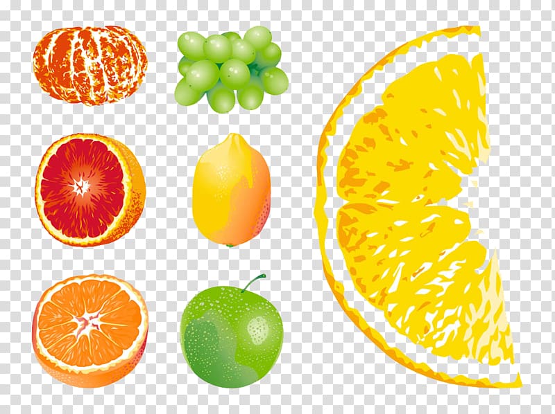 Grapefruit Orange Euclidean , mouse painted fruit transparent background PNG clipart